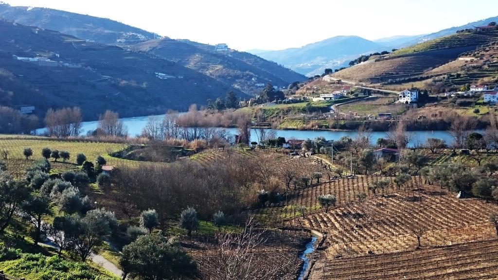 Casa Quinta Da Adega Do Chao - Vale Do Douro Villa Lamego Ruang foto